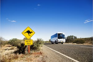 Bus Hire
